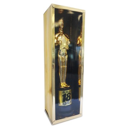 TROPHEE DE STAR DORE 18 ANS