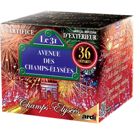 Champs Elysées le 31