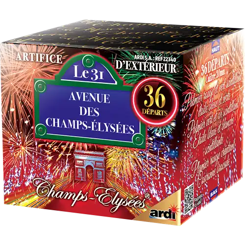 Champs Elysées le 31 Champs Elysées le 31