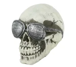 Tête de mort avec lunettes