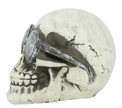 Tête de mort avec lunettes
