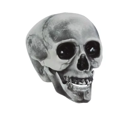 Crâne pvc 20 cm