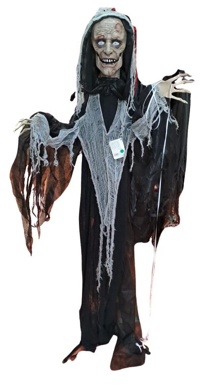 ZOMBIE ANIMEE 208850