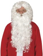 PERRUQUE ET BARBE 209783 PF