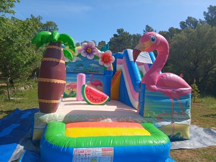 Château Gonflable FLAMAND ROSE
